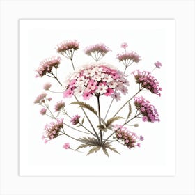 Flower of Verbena 2 Art Print