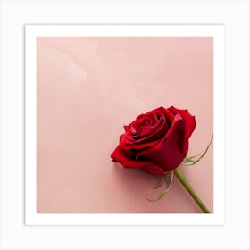 Red Rose On Pink Background Art Print