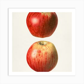 Apple Painting Art Print