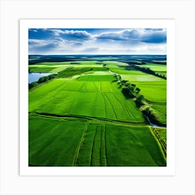 Grass Peace Air Structure Pasture Soy Bean High Country Rural Green Farm Overhead Natur (10) Art Print