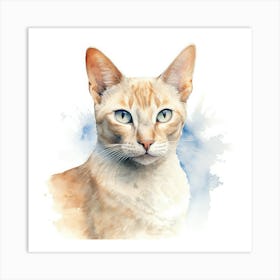 Colorpoint Shorthair Cat Portrait 1 Art Print