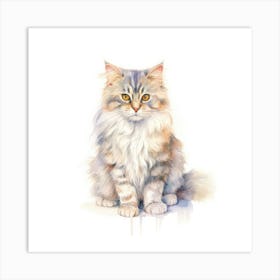 Brazilian Shorthair Longhair Cat Portrait Art Print