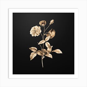 Gold Botanical China Rose on Wrought Iron Black n.2597 Art Print
