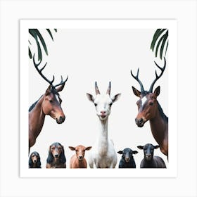 Group Of Goats Art Print