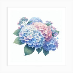 Hydrangeas 2 Art Print