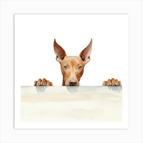 Doberman Pinscher Dog Portrait Art Print