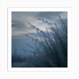 Whispers Of Tranquility Delicate Flora (2) Art Print