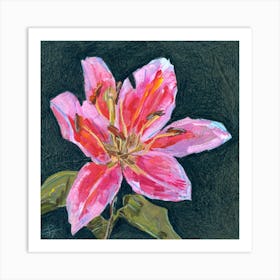 Pink Lily on Dark Background Art Print