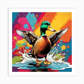 Mallard Duck Art Print