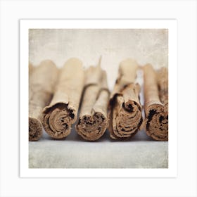 Cinnamon Sticks Art Print