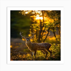 Deer At Sunset Art Print