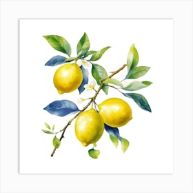 Lemons On A Branch 1 Art Print