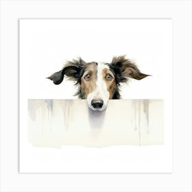 Collie Dog 1 Art Print