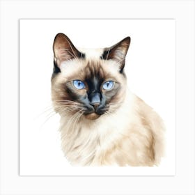 Classic Siamese Cat Portrait 1 Art Print