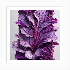 Purple Cabbage 7 Art Print