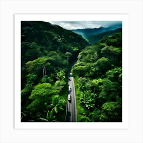 Aerial View Of A Road In The Rainforest 1 Art Print