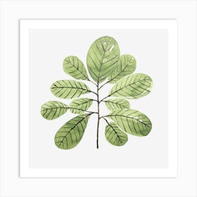 Leaves 5709490 1280 1 Art Print