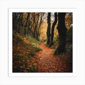 Autumn Path 6 Art Print