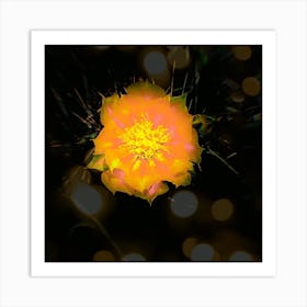 Radiant Flower Art Print