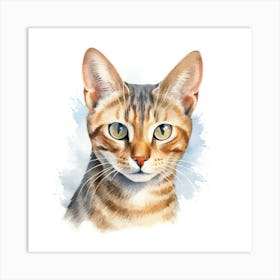 Thai Cat Portrait 2 Art Print
