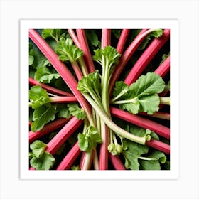 Rhubarb 86 Art Print