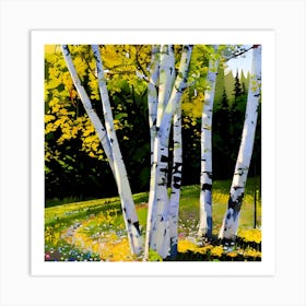 Birch Trees 1 Art Print