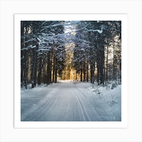 Winter Road In The Forest Art Print