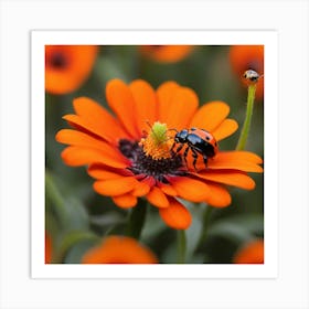 Ladybug On A Flower Art Print