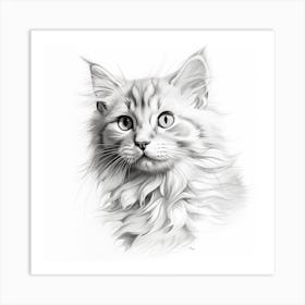 Pencil Drawing Of A Cat Art Print