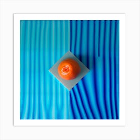 Orange On A Blue Background Art Print