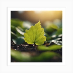 Green Leaf In The Sun Art Print