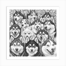 Husky Dogs Art Print