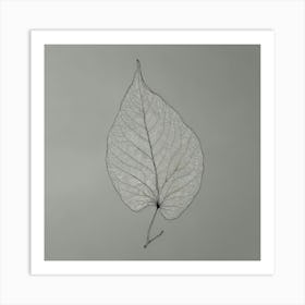 Leaf 3 Art Print