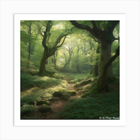 Forest Path Art Print