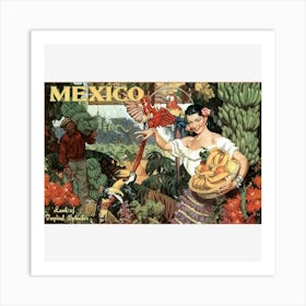 Mexico Art Print