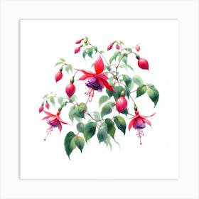 Flowers of Fuchsia 1 Art Print