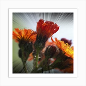 Flowers - Flower Stock Videos & Royalty-Free Footage Art Print