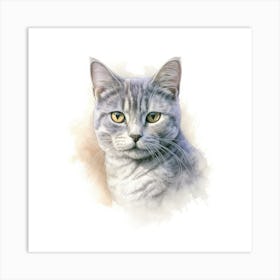 Australian Mist Shorthair Cat Portrait Art Print