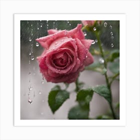 Raindrops On A Rose 1 Art Print