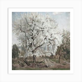 Cherry Tree In Bloom Art Print