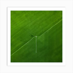 Lawn Green Grass Line Drone Person Surface Field Descending Adult Day Greenery Sharpened Art Print