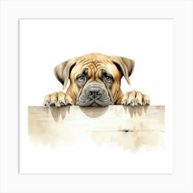 Boxer Dog 7 Art Print