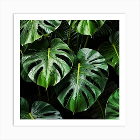 Default Monstera Leaves Photo Art 1 Art Print