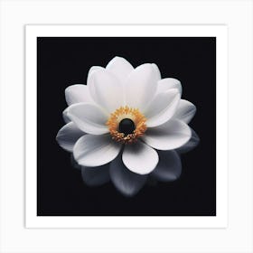 White Lotus Flower Art Print