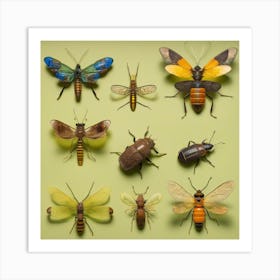 Insect display Art Print