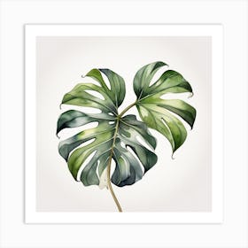 Large Monstera leaf 9 Art Print