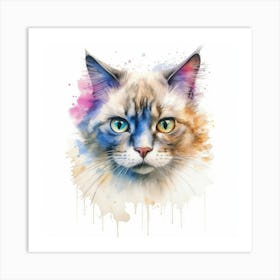 Suphalak Cat Portrait 1 Art Print