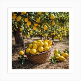 Lemons In A Basket 3 Art Print