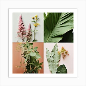 Collage Of Plants Art Print