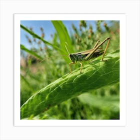 Grasshopper 71 Art Print